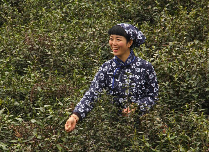 百丽直播5589入口 热门11